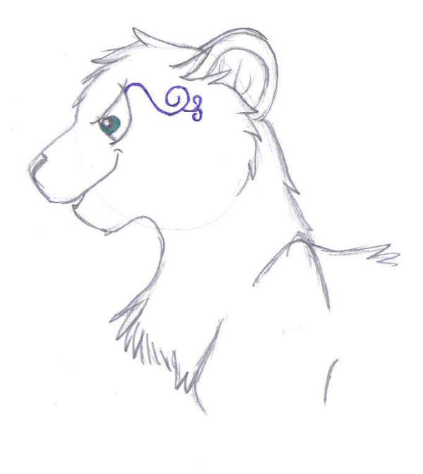 Wish scetch