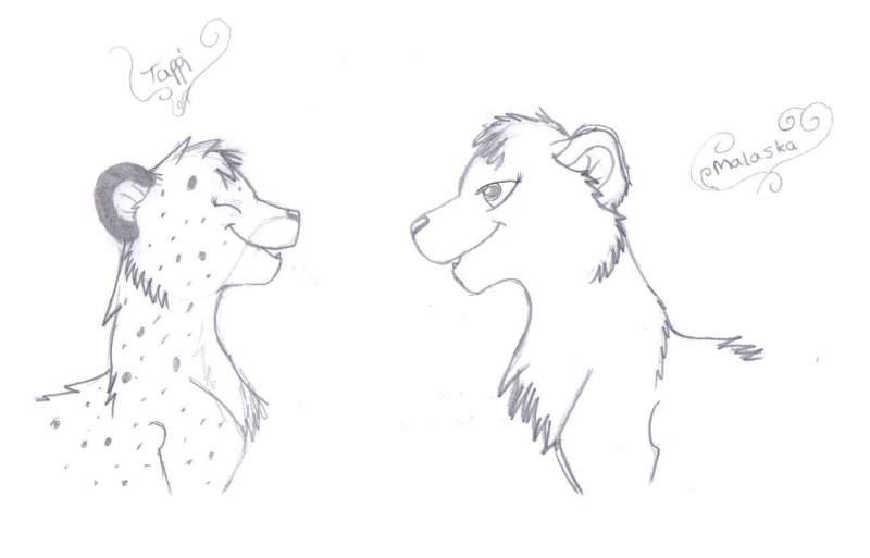 Malaska+tappi