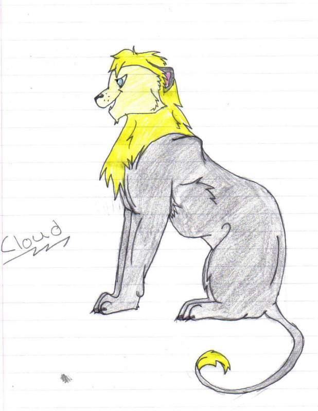 Cloud for Lionstar