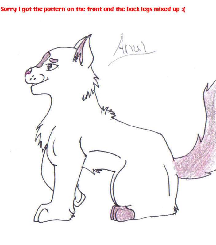 Anul