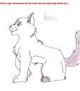 Anul
