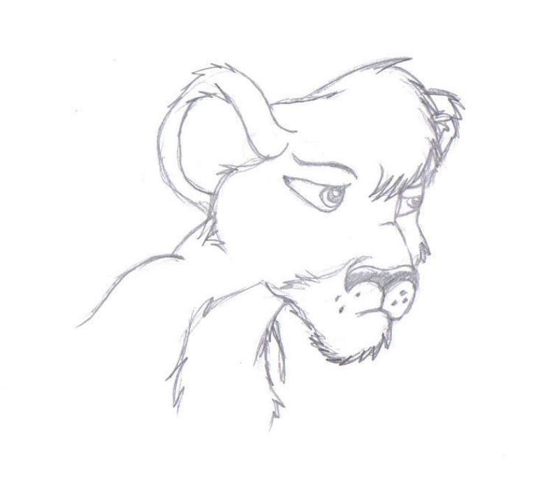 random lioness cub