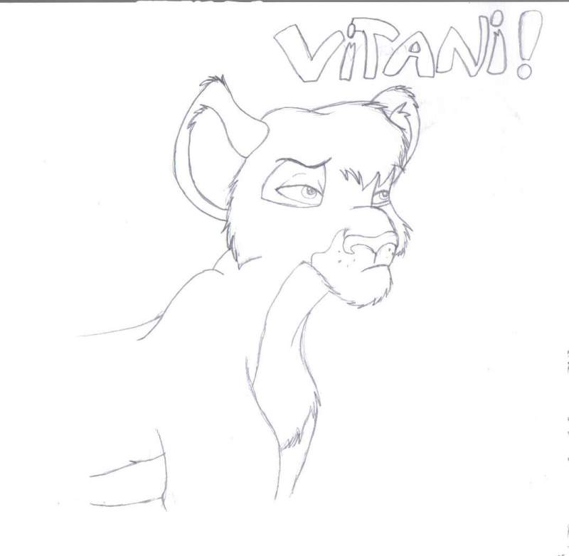 My first Vitani