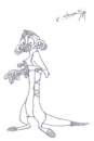 Timon