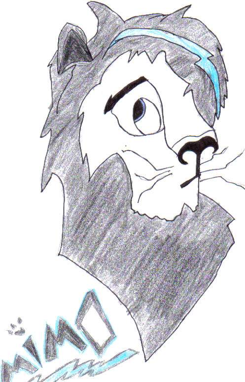 my first lion drawing