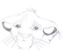 sad simba