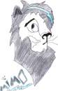 my first lion drawing