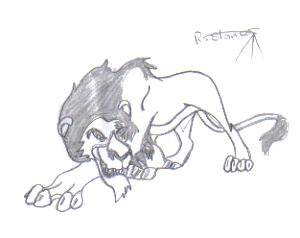 scar