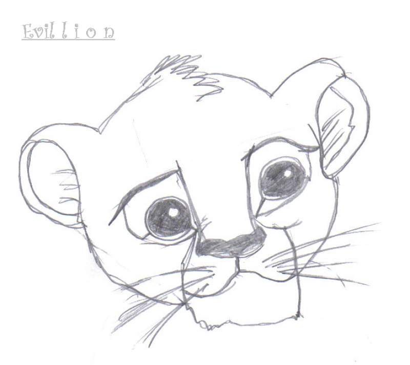 Random lion head