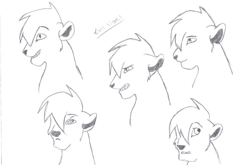 one random lion