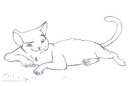 a smug looking house cat