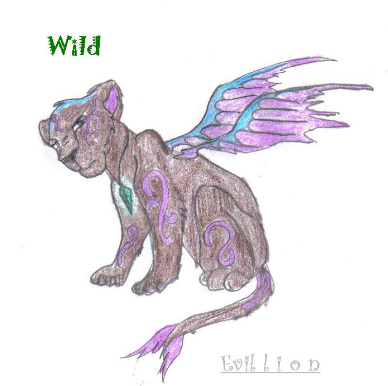 Wild