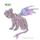 Wild