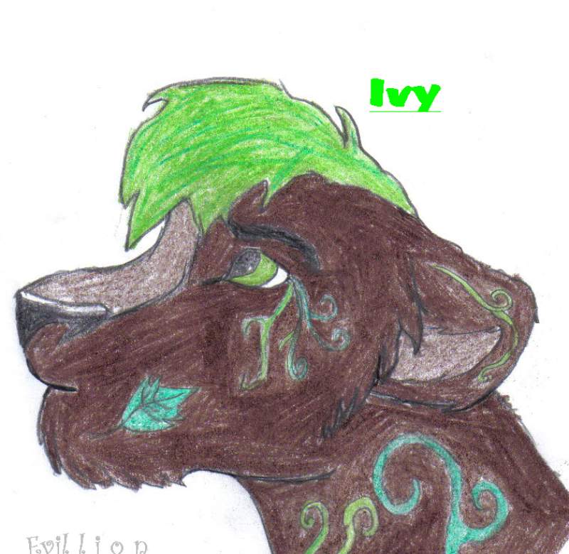 Ivy