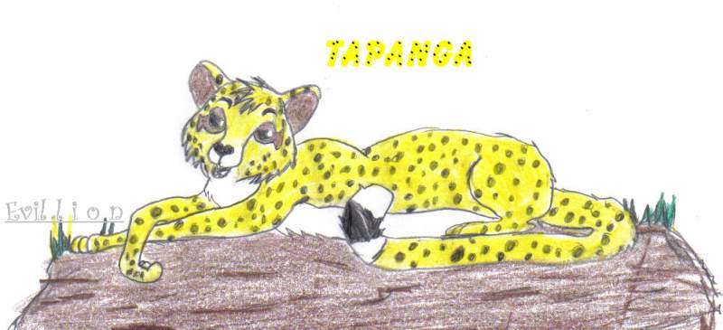 Tapanga