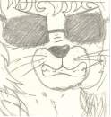 splinter