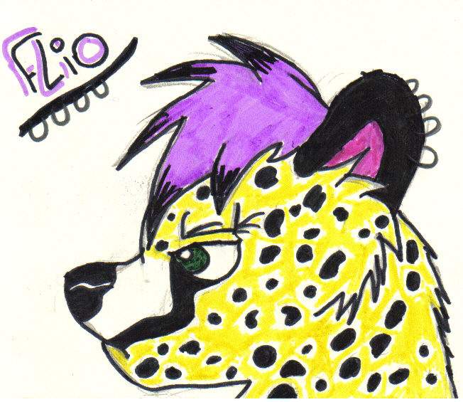 Flio