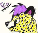 Flio