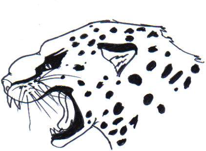 Cheetah
