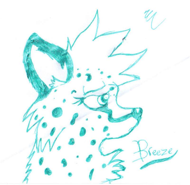 Cheetah doodle 2