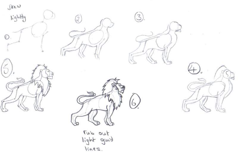 How to draw a lion