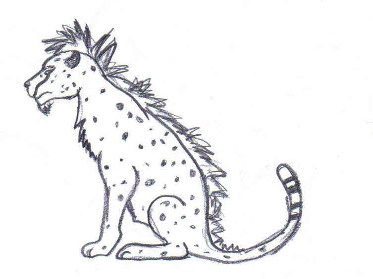 cheetah setch