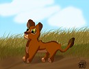 Shani's World