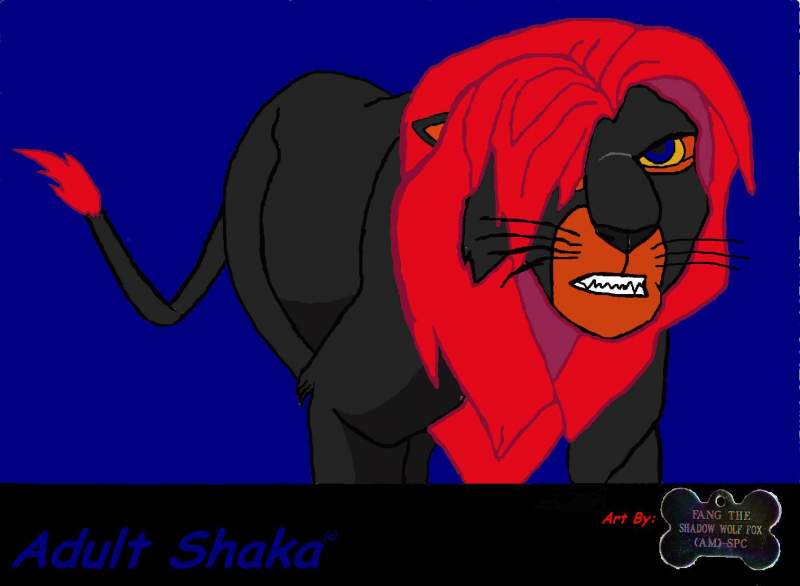 Older Shaka