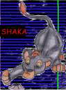Cub Shaka