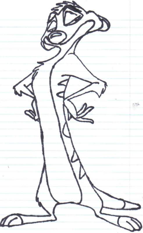 Timon