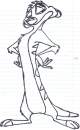 Timon