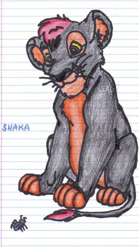 lil Shaka