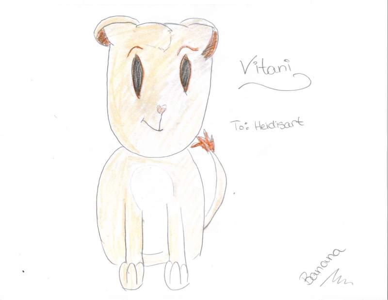 Vitani