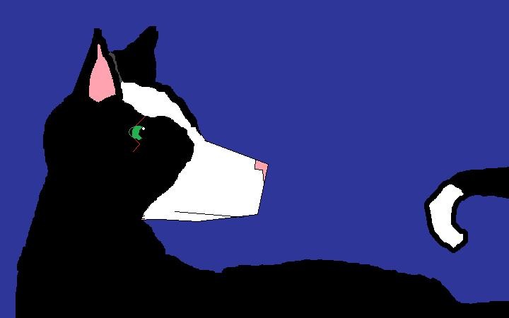 I Can't Do Paint