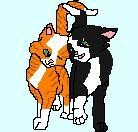 Me and Hawkeyes