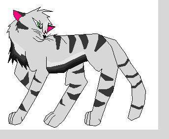 tabby cat