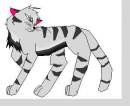 tabby cat