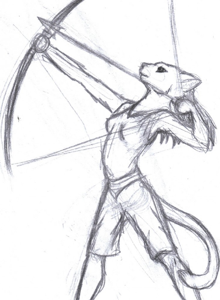 Anthro bowcat