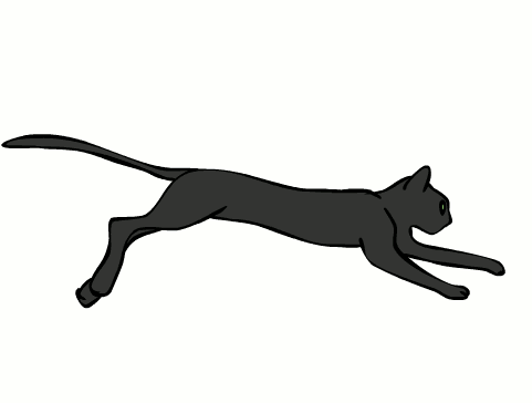 Cat Run Cycle (ATTENTION: read description)