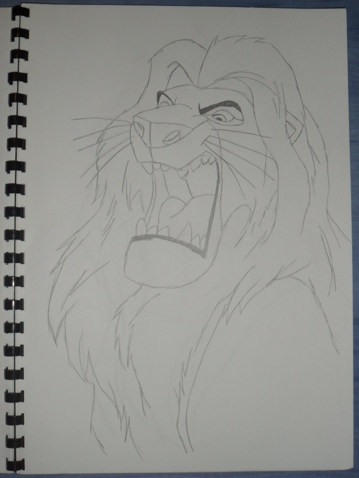 Drawing of Mufasa