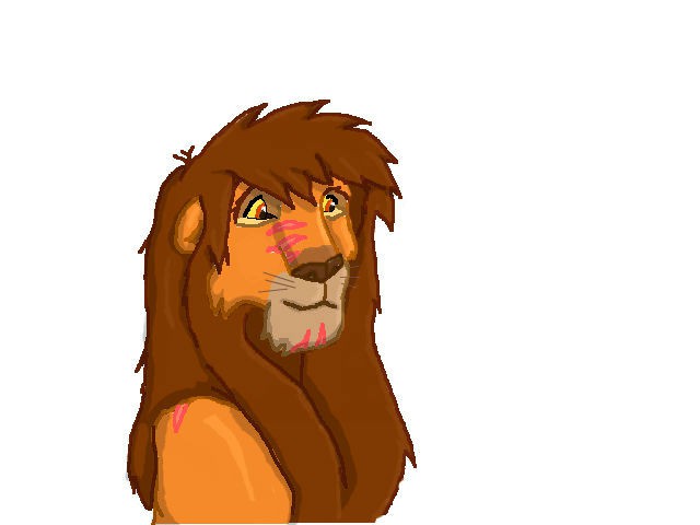Kopa Ref.