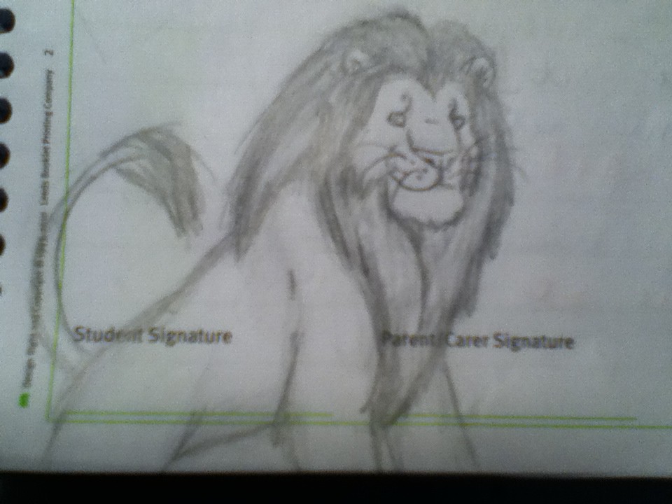 Mufasa Sketch