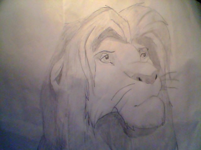 Simba (pencil on paper)