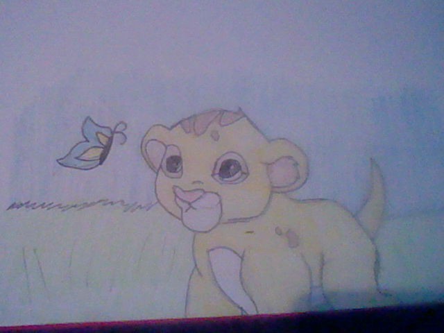 Little Simba