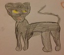 For pawface