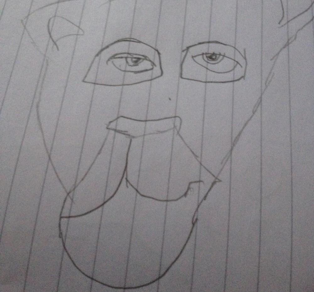 Nala sketch