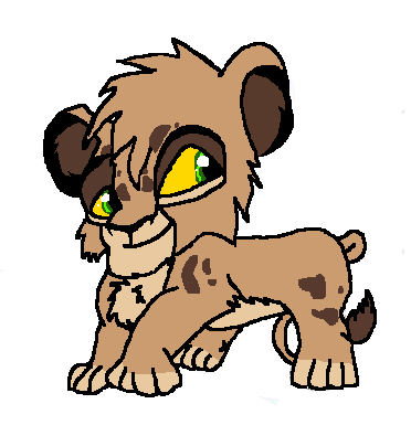 Rachallia's Little Bro