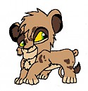 Rachallia's Little Bro