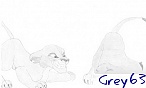 grey63