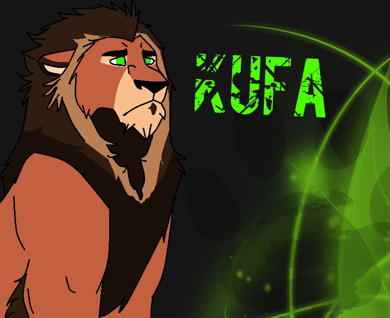 Kufa 2013